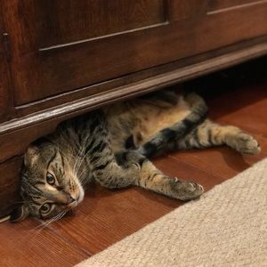 Meet your Posher, Gilberto